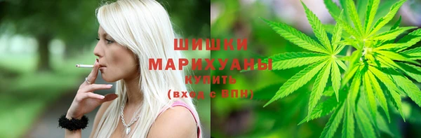 дживик Бердск