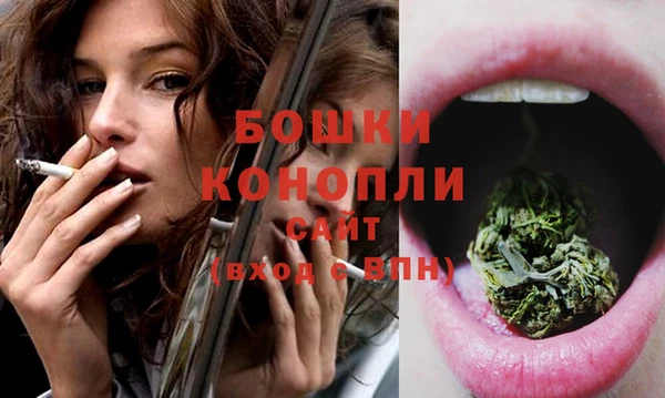 spice Верея