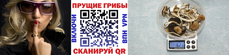 Псилоцибиновые грибы Magic Shrooms  Ефремов 