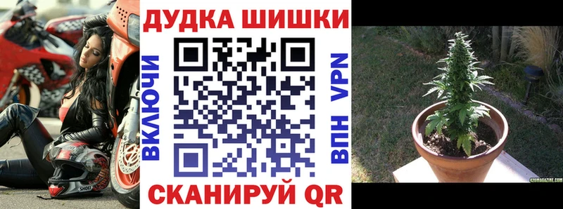 Марихуана марихуана Ефремов